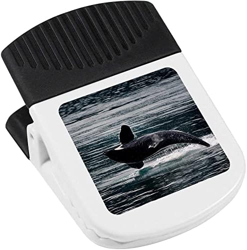 Clip magnetic azeeda 'orca