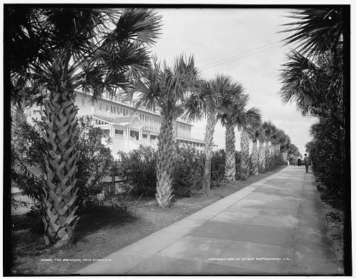 HistoricalFindings Foto: Breakers, hoteluri, stațiuni, clădiri, trasee, căi, copaci, Palm Beach, Florida, FL, c1900
